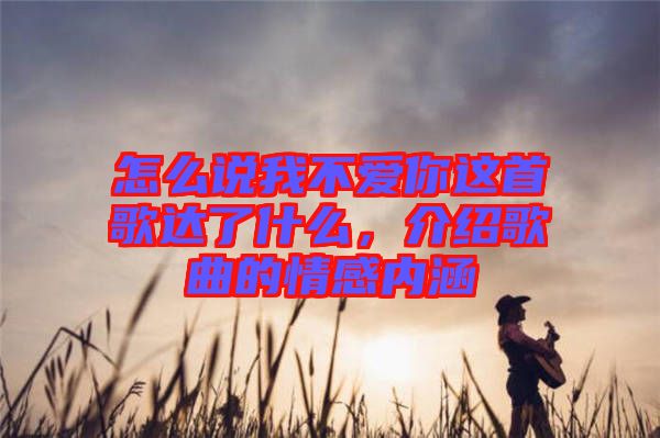 怎么說我不愛你這首歌達了什么，介紹歌曲的情感內涵