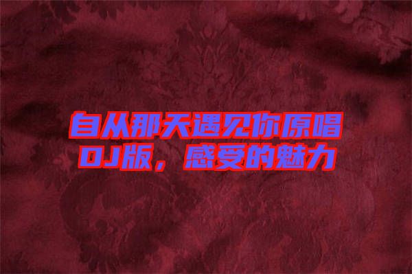 自從那天遇見你原唱DJ版,感受的魅力