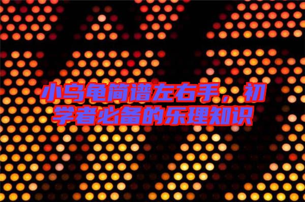 小烏龜簡譜左右手,初學者必備的樂理知識