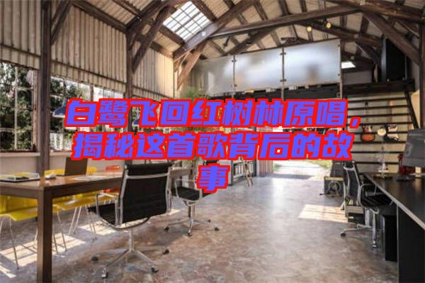 白鷺飛回紅樹林原唱,揭秘這首歌背后的故事
